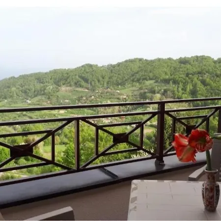 Apartment Mips Amadeus P85 *